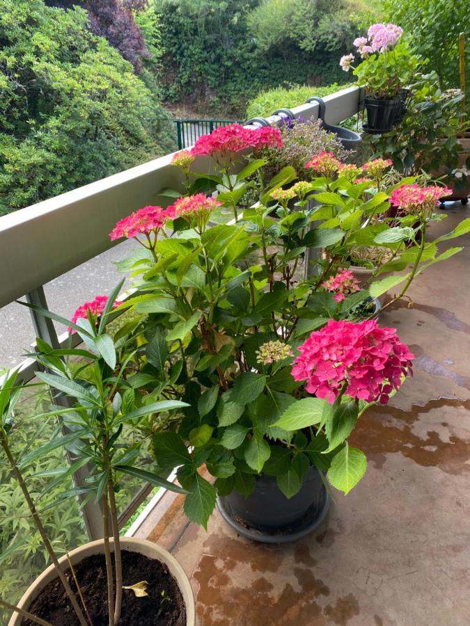 Appartement Monseigneur Vannes Ngoại thất bức ảnh